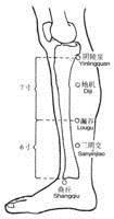 三阴交穴