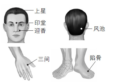 鼻塞、打鼾等鼻子问题的防治